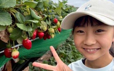 2026年3月留学プログラムに参加したY.K.さん